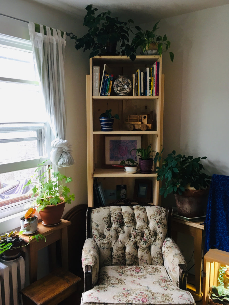 Bookshelf Kit made from Canadian white pine-- Fiddlehead Casket Company